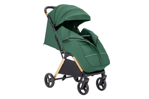 Коляска прогулянкова CRL-5523 "Cross" Parrot Green CARRELLO | Зображення 1