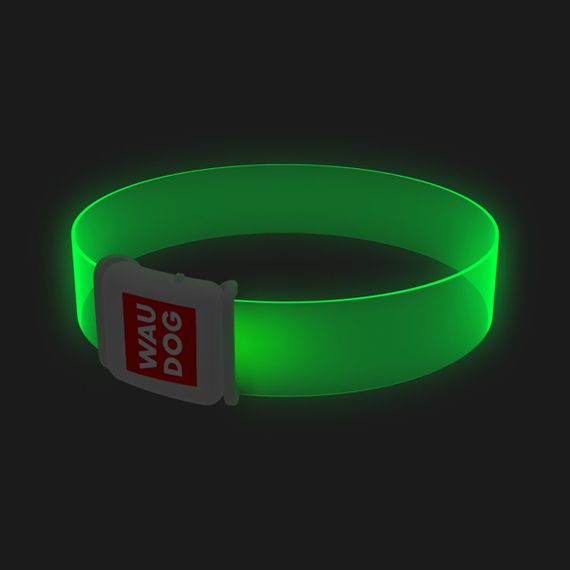 Нашийник для собак з підсвічуванням WAUDOG LED, магнітна застібка, Ширина 25 мм, Довжина 60 см | Зображення 2