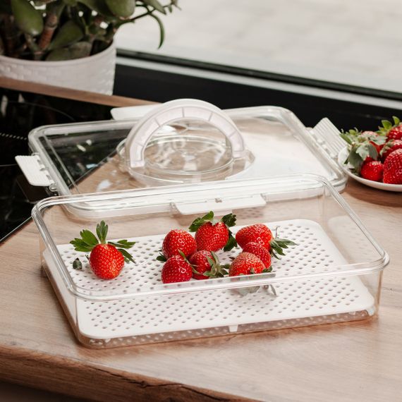 Контейнер для їжі з ручкою 31х24х7 см пластиковий харчовий контейнер 2.5 л HP-27-10 | Зображення 2