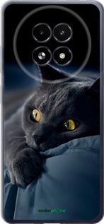 Чохол на Realme 13+ 5G Димчастий кіт "825u-3891-2448"