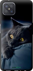 Чохол на Oppo Reno 4 Z Димчастий кіт "825b-2278-2448"