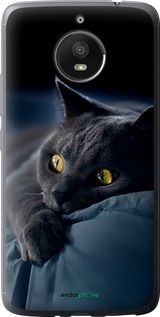 Чохол на Motorola Moto E4 Plus Димчастий кіт "825u-1000-2448"