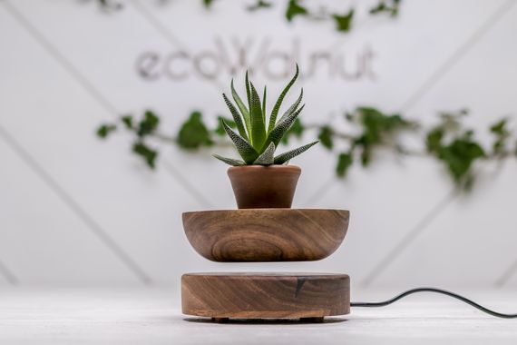 Летающий вазон для растений EcoWalnut с логотипом