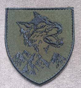 Шеврон 33 ОМБр (цветной)