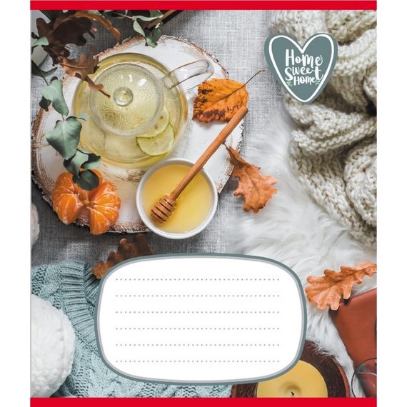 Зошит учнівський "Домашній затишок" 018-540253L-2 в лінію, 18 аркушів