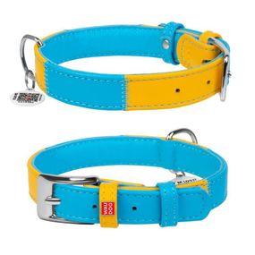 Нашийник для собак шкіряний WAUDOG Glamour з QR паспортом, Colors of freedom, L, Ш 25 мм, Дов 38-49 см