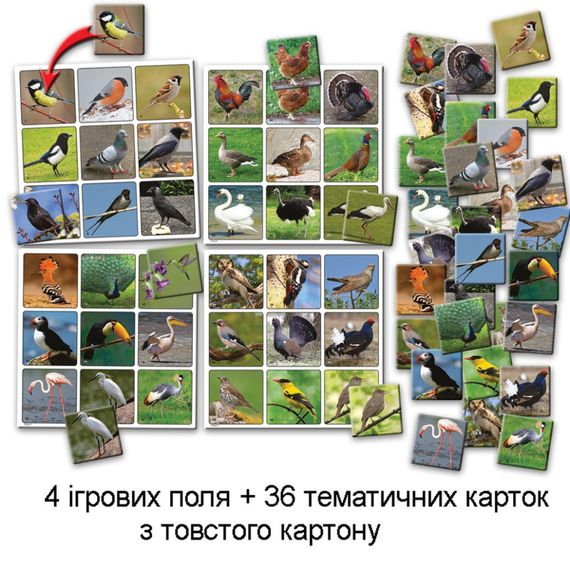 Детская настольная игра супер ЛОТО "Птицы" 81930 карточки птиц — 36 шт | Зображення 2