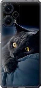 Чохол для Xiaomi Poco F5 з силікону FCh_051652