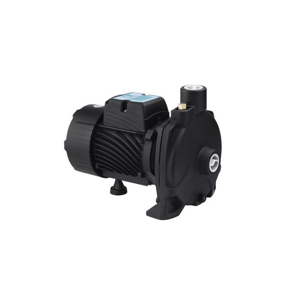 Насос поверхневий поливальний Pumpman TCP158 Нmax 33м Qmax 6куб.м 1"х1" 750 Вт (чавун/алюміній) | Зображення 3