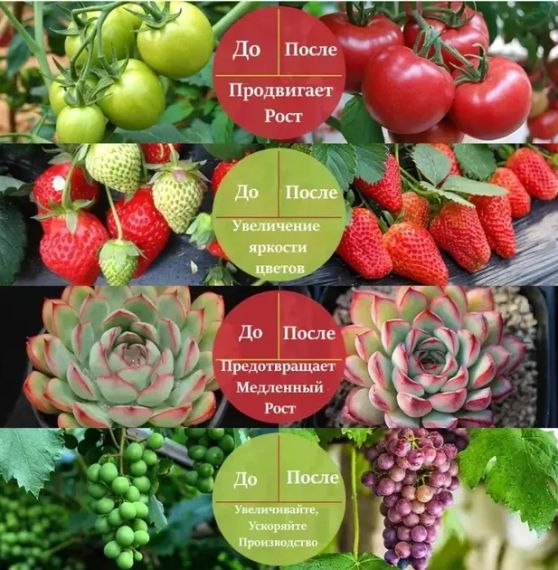 Фітолента для зростання саджанців від USB живлення фітолампа спектр LED 2 м | Зображення 4