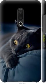 Чохол на Meizu 15 Plus Димчастий кіт "825m-1473-2448"