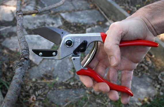 Секатор з ковадлом FELCO 31 | Зображення 2