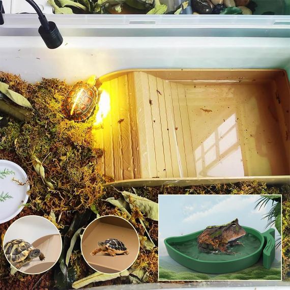 Ванночка та поїлка для черепах і рептилій набір, миска ємність для води для повзаючих домашніх тварин, ящірок для тераріуму | Зображення 7