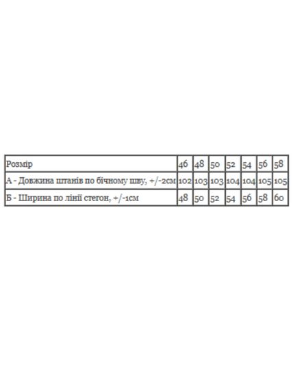 Штани чоловічі Носи своє 54 Сірий (p-15015-209770) | Зображення 2
