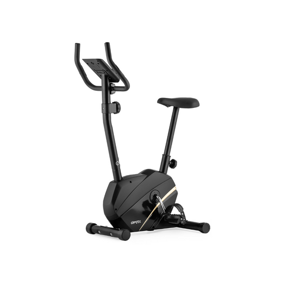 Велотренажер Gymtek XB800 магнітний золотий | Зображення 1
