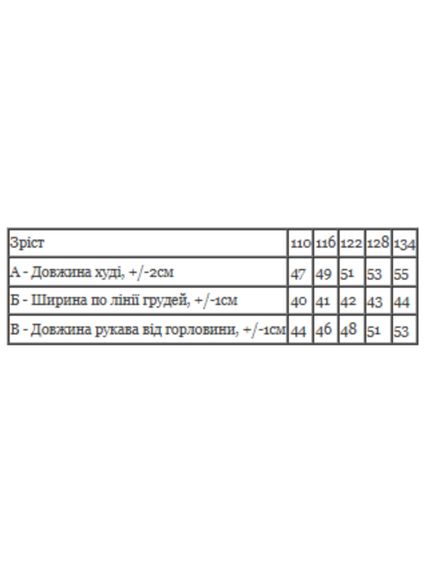 Худі для хлопчика Носи своє 134 Темно-синій (p-13402-208665) | Зображення 3