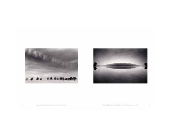 Книга Michael Kenna: Trees / Arbres (Signed) | Зображення 7