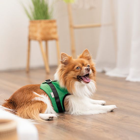 Шлея Ross ТМ Pet Fashion для собак  XS | Зображення 3