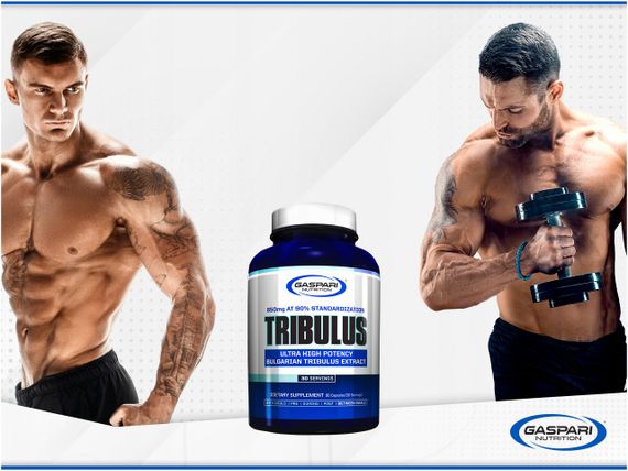 Трибулус Gaspari Nutrition Tribulus 90 caps | Зображення 2