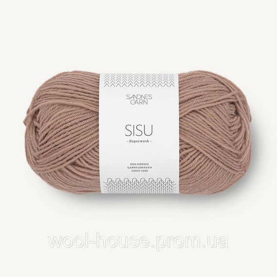 Шкарпеткова пряжа Sandnes Garn Sisu 50 г, 2572