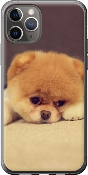 Чехол на iPhone 11 Pro Boo 2 "890u-1788-17620"