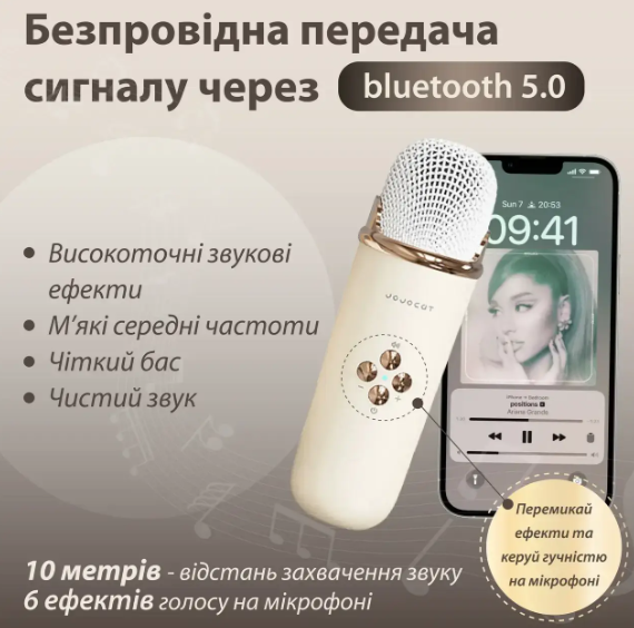 Акустична система «RETRO» з мікрофоном ∙ Бездротова портативна Bluetooth колонка на акумуляторі ∙ Міні-караоке | Зображення 2