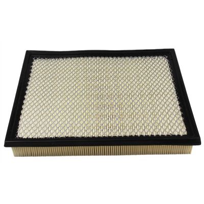 Воздушный фильтр для автомобиля Champion CAF100666P