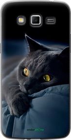 Чохол на Samsung Galaxy Grand 2 G7102 Димчастий кіт "825u-41-2448"
