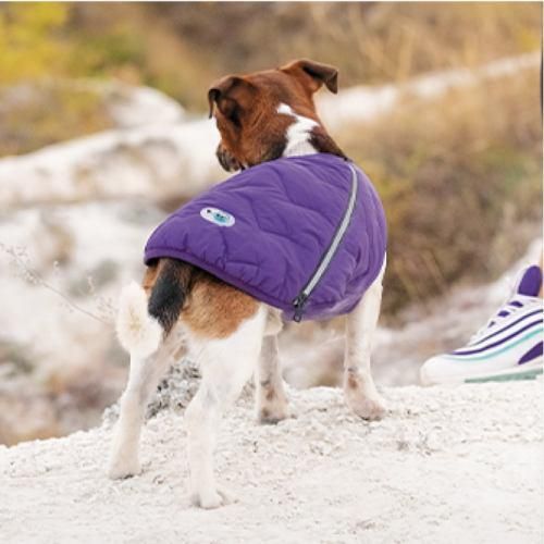 Жилет Pet Fashion «E.Vest» для собак, размер XS, фиолетовый | Зображення 4
