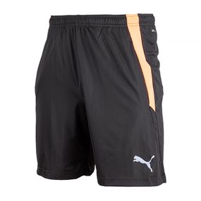 Шорти Puma teamLIGA Training Shorts 2