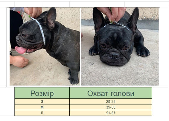 Намордник для собак брахицефалов (намопсник) Синий M | Зображення 3