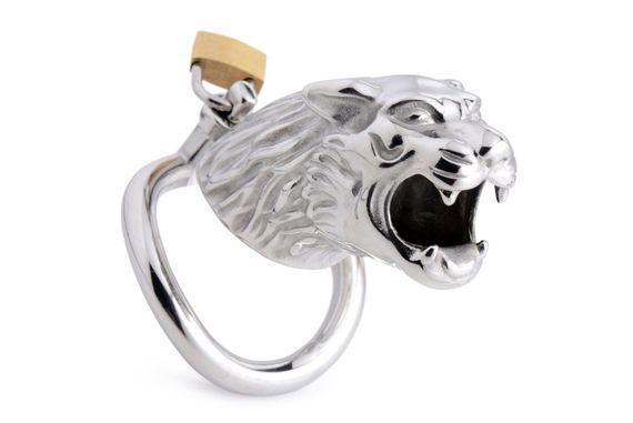 Клітка для пеніса Master Series: Tiger King Cock Cage With Lock Сріблястий One Size | Зображення 5