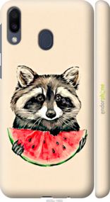 Чохол на Samsung Galaxy M20 Єнотик з кавуном "4605m-1660-2448"