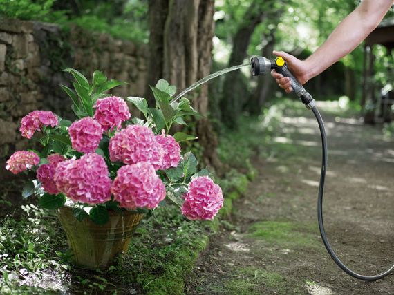 Шланг Karcher Performance Premium 1/2 - 50 м (2.645-325.0) | Зображення 1