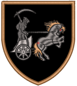 Шеврон 210 ОШП