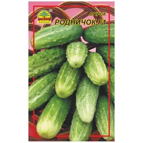 Насіння огірка Родничок F1 15 шт. (Насіння країни)