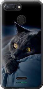 Чохол на Xiaomi Redmi 6 Димчастий кіт "825t-1521-2448"