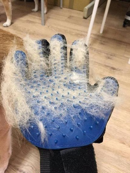 Перчатка для вычесывания шерсти True Touch, Тру Тач, Pet Glove | Зображення 1