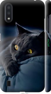 Чохол на Samsung Galaxy A01 A015F Димчастий кіт "825m-1842-2448"