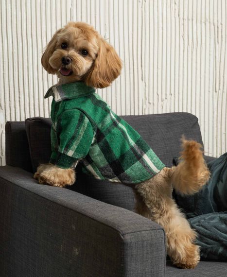 Сорочка картата зелена RUB-52