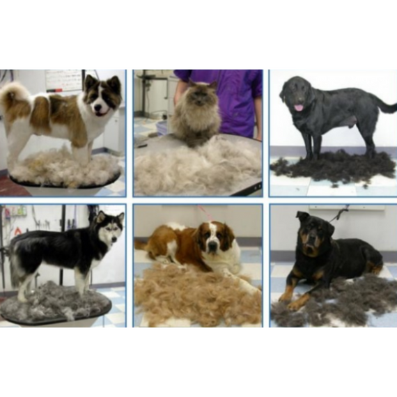 Щітка для чищення вовни з кнопкою L, FURminator для тварин   знижка | Зображення 7