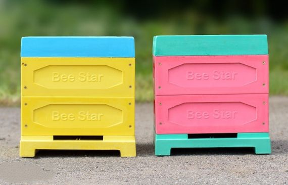 Улей ППУ «BeeStar» (2 магазин на 10 рамок) — кольоровий | Зображення 2