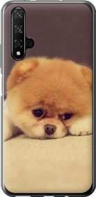 Чехол на Huawei Honor 20 Boo 2 "890u-1697-17620"