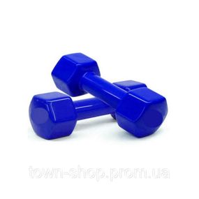 Гантели для фитнеса Vinyl NE-VIN-15-B 2 шт по 1,5 кг, синие
