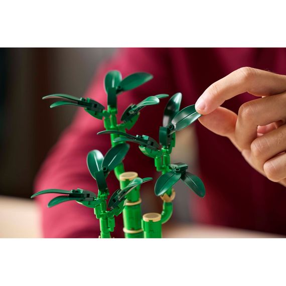 Конструктор LEGO Botanicals Бамбук щастя (10344) | Зображення 7
