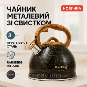 Чайник зі свистком з одинарним дном Rainberg, Чайник на кухню 3 л Гарний для газової плити XJ-99