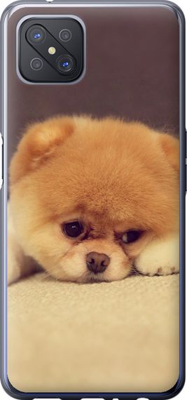 Чехол на Oppo Reno 4 Z Boo 2 "890u-2278-17620"
