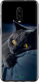 Чохол на OnePlus 6T Димчастий кіт "825u-1587-2448"