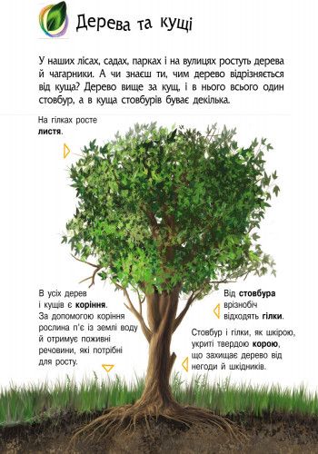 Дитяча енциклопедія про природу 614008 для дошкільнят | Зображення 2