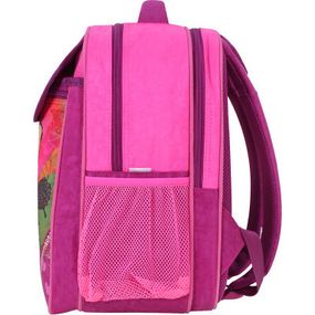Рюкзак школьный Bagland Отличник 20 л. 143 малина 512 (0058070) (41826869) - Топ Продаж!